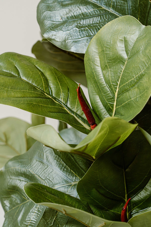 Kunstplant Vijg 90 cm (Ficus) - Compacte Realistische Kunstplant - Indore Home