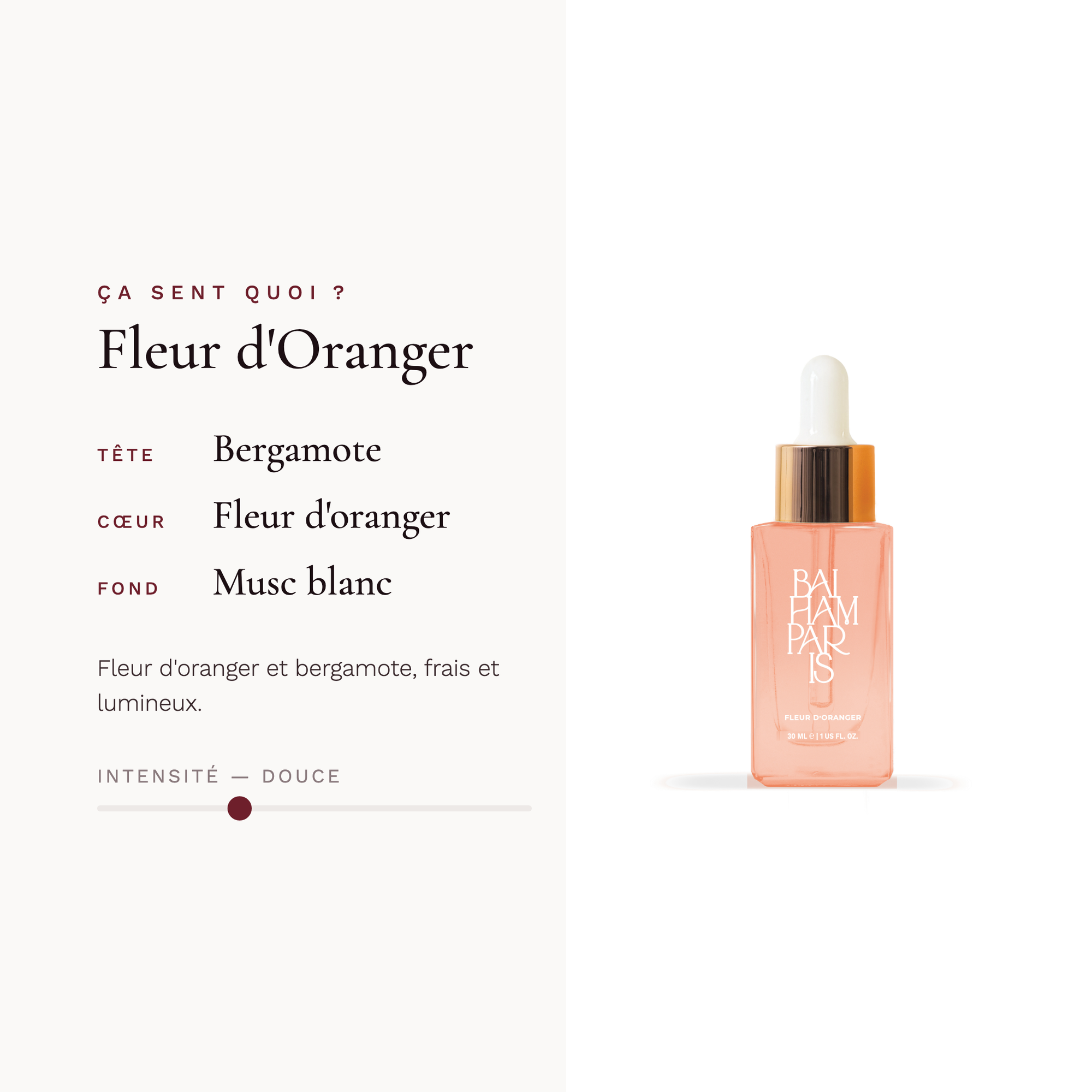 Orange Blossom