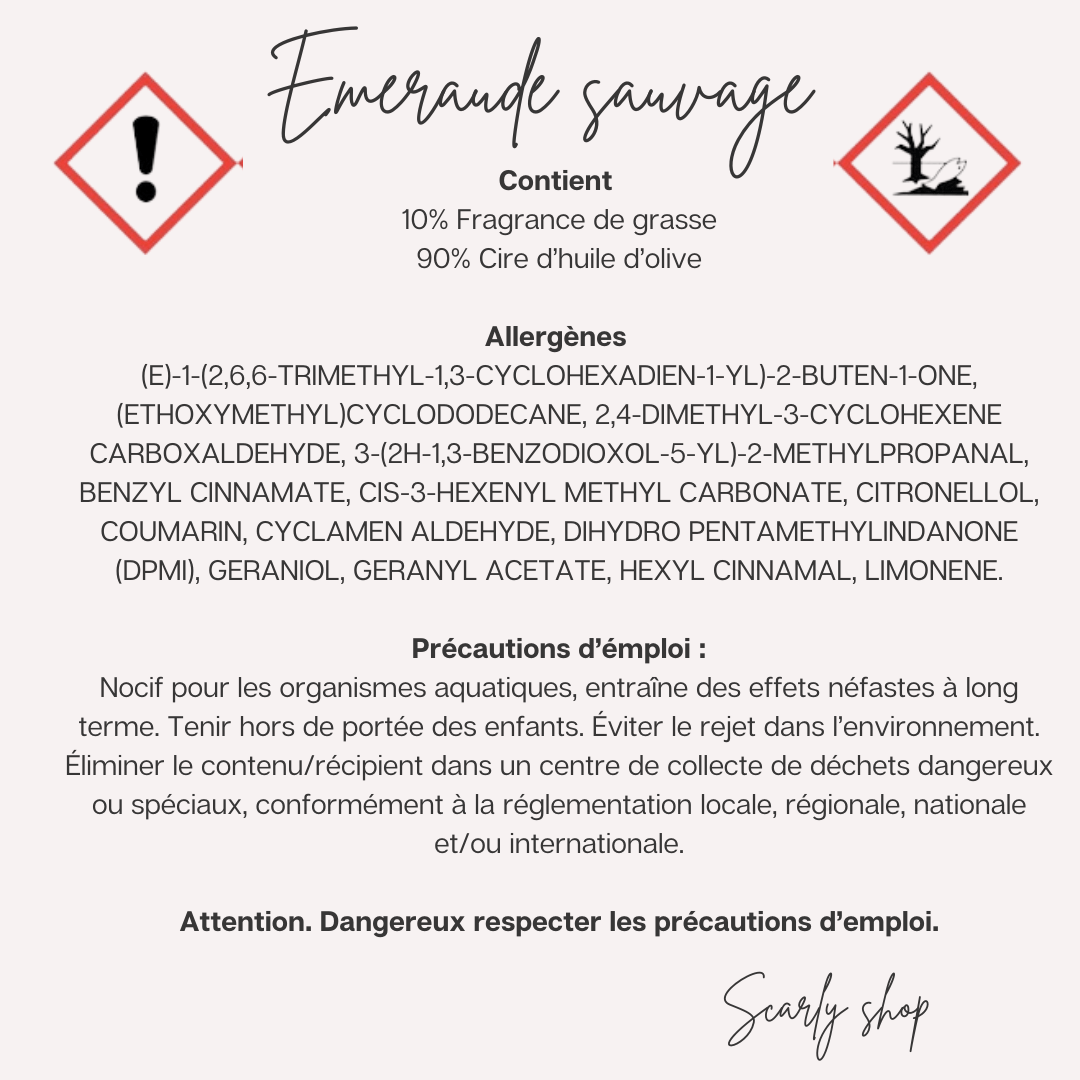 Emeraude Sauvage - Scarly Shop