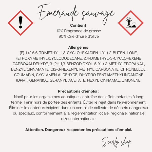Emeraude Sauvage - Scarly Shop
