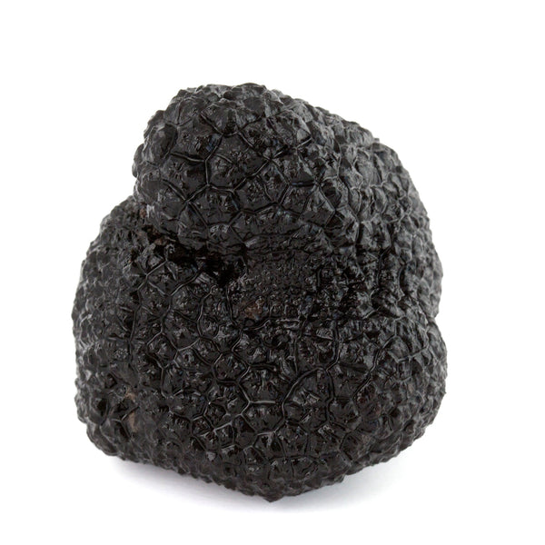 Truffe Noire Melanosporum - Préservée