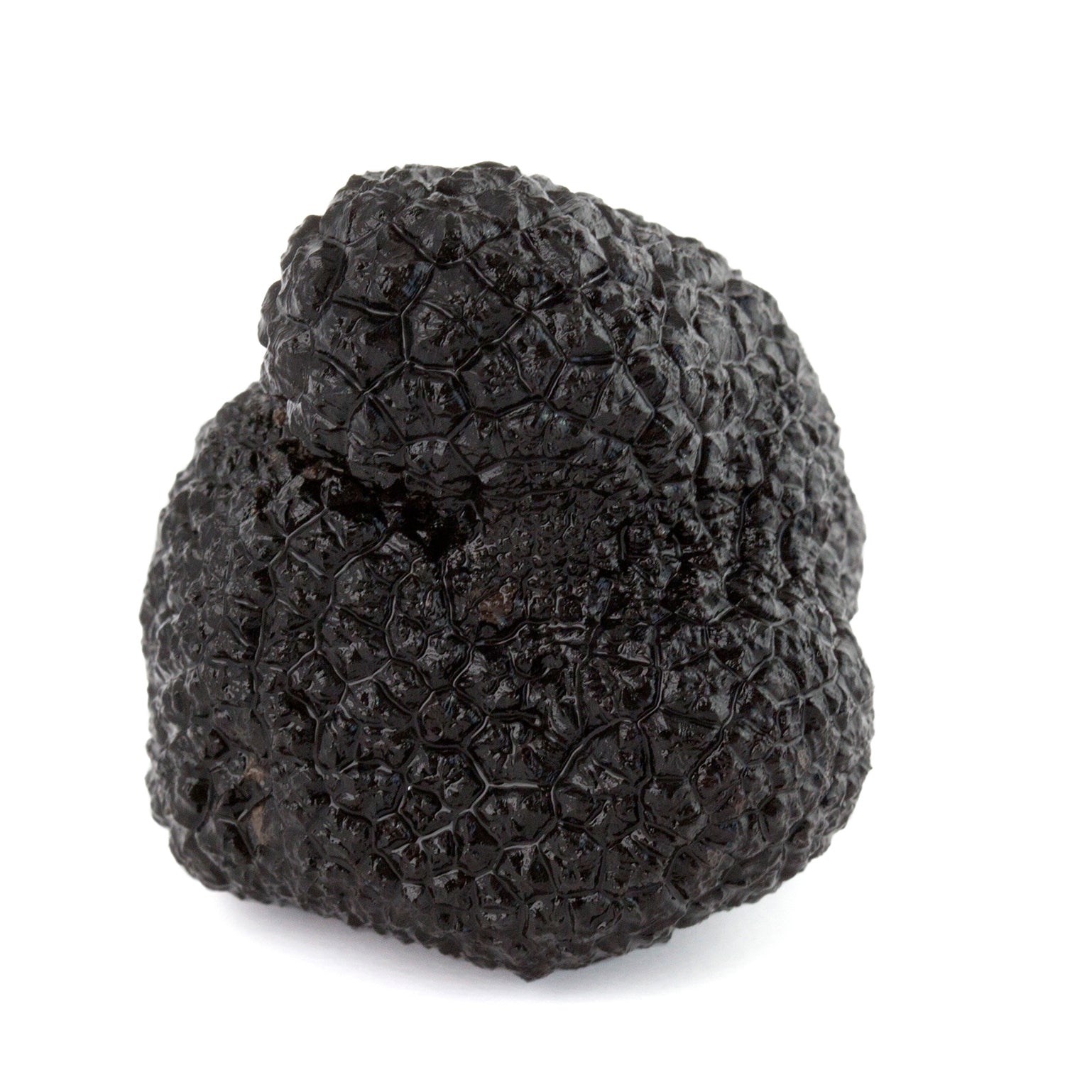 Tartufo Nero Melanosporum - Conserva