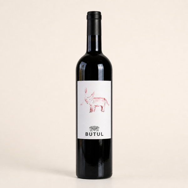 Refošk Mali Boškarin 2017 – vino Domačije Butul