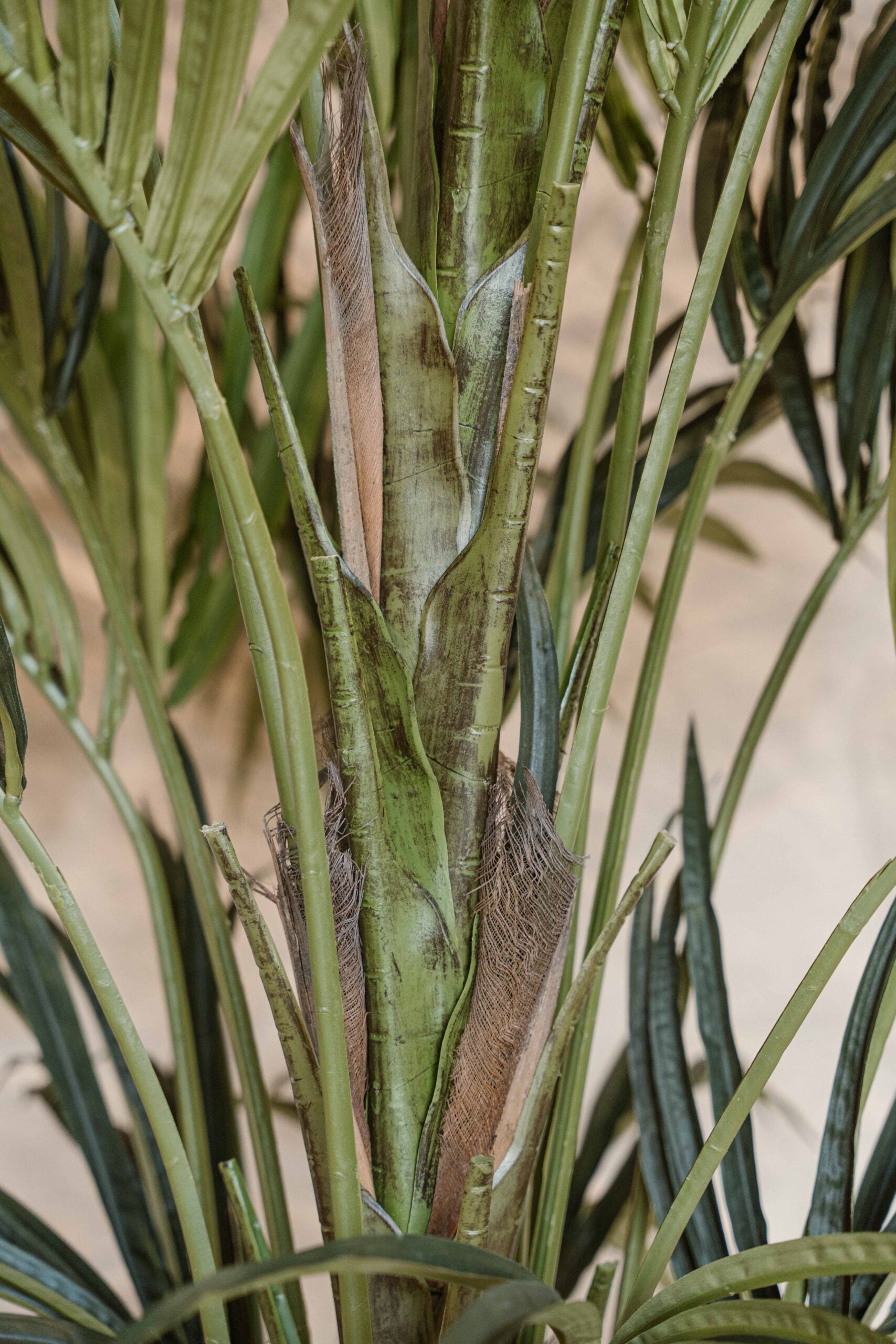 Artificial Kentia Palm 280 cm – Extra Large Tropical Indoor Plant – Elegant Palm for High Ceilings – Indore Silva