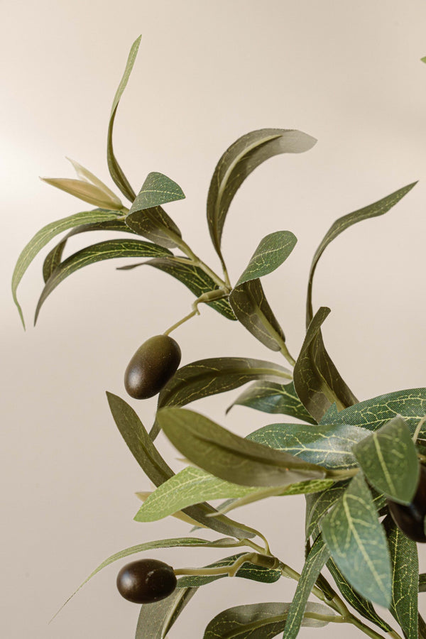 Indore Silva - Olive branch - artificial branch - silk