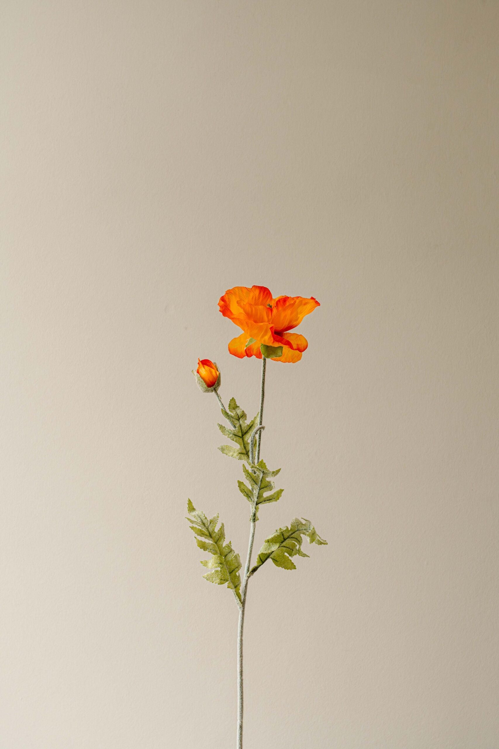 Indore Silva - Poppy - Orange - Artificial Branch - Silk