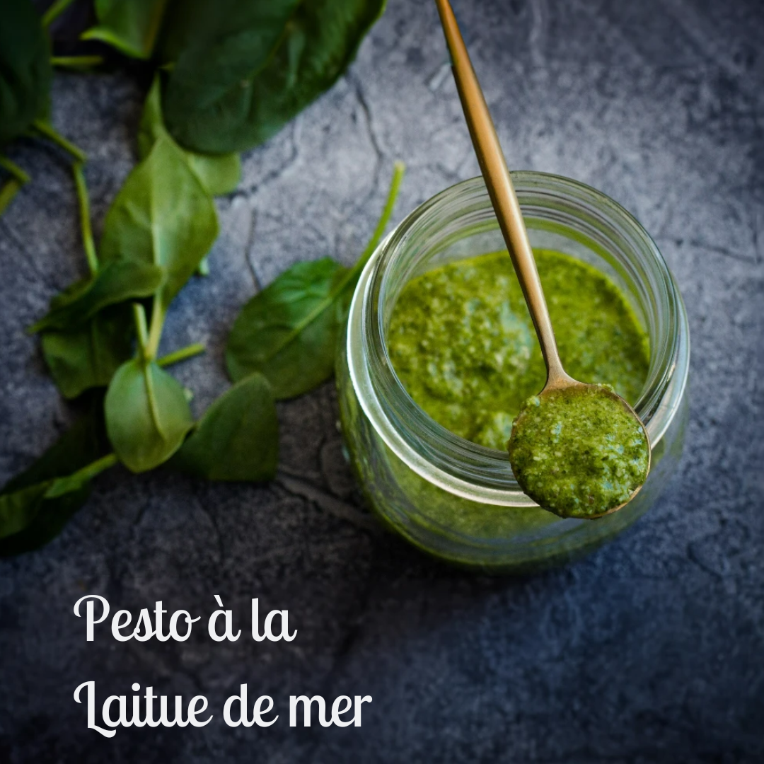 Sea Lettuce