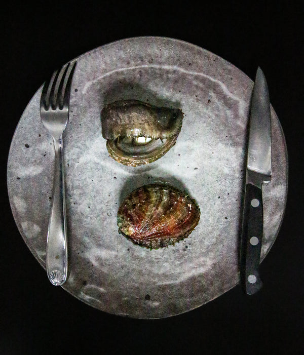 Viande d'Abalone EXTRA - Emballage sous vide