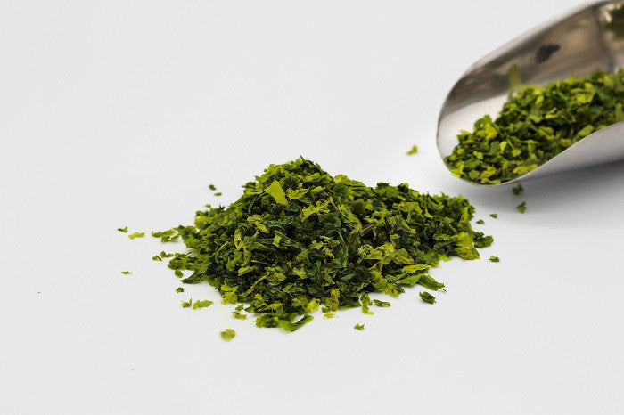 Sea Lettuce
