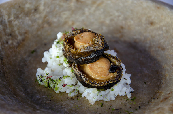 Abalone "Cocktail"