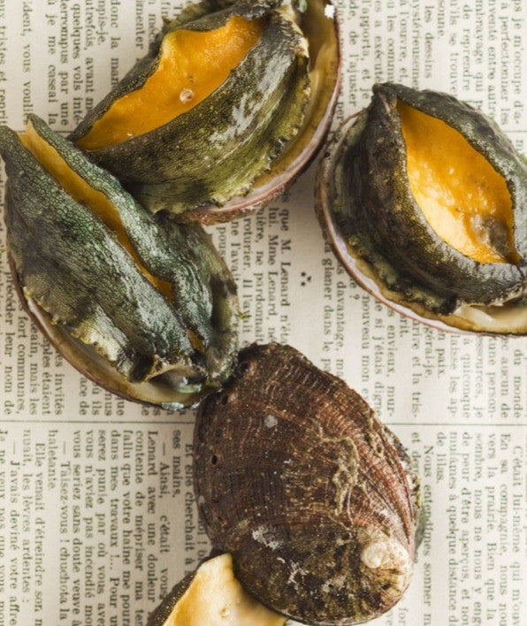 Live Farmed Abalone - 1 kg