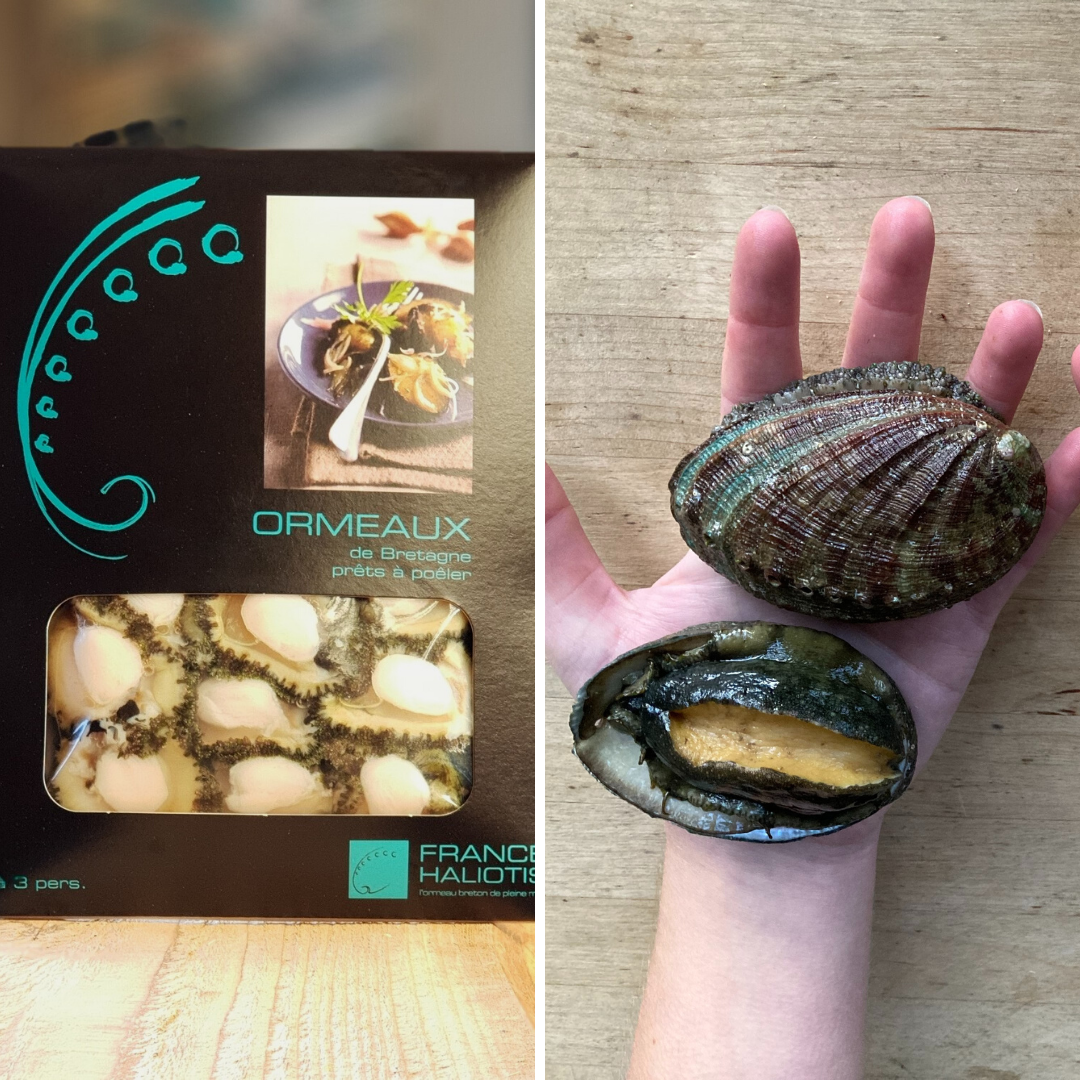 Viande d'Abalone EXTRA - Emballage sous vide