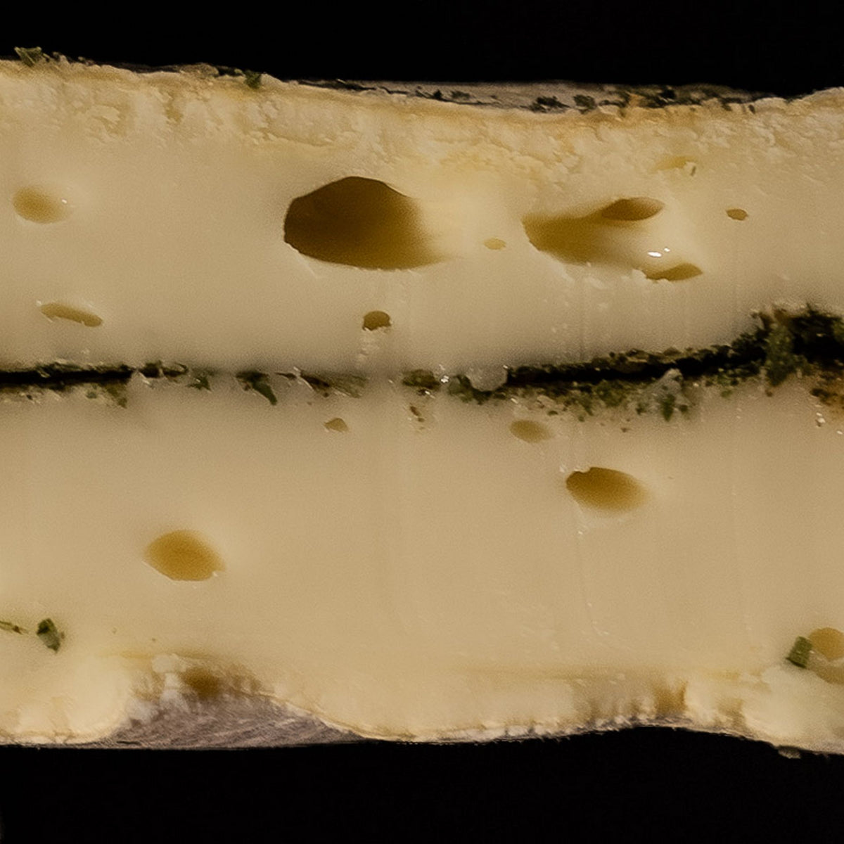 Tomette ail et fines herbes