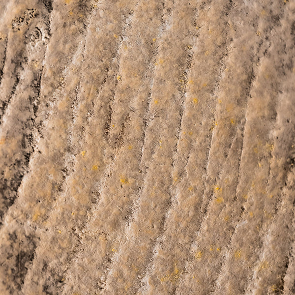 Tomme from the Pyrenees