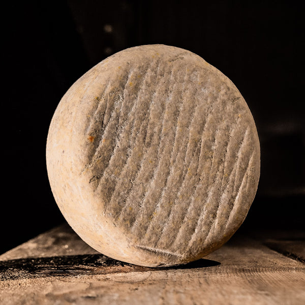 Tomme from the Pyrenees