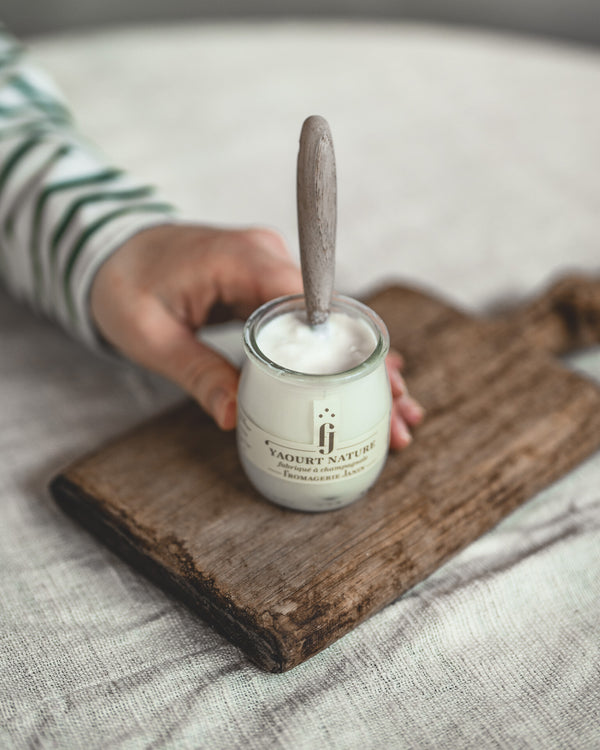 Homemade Natural Yogurt