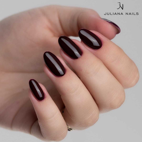 Color Gel Pro - Spiced Wine 4.5g