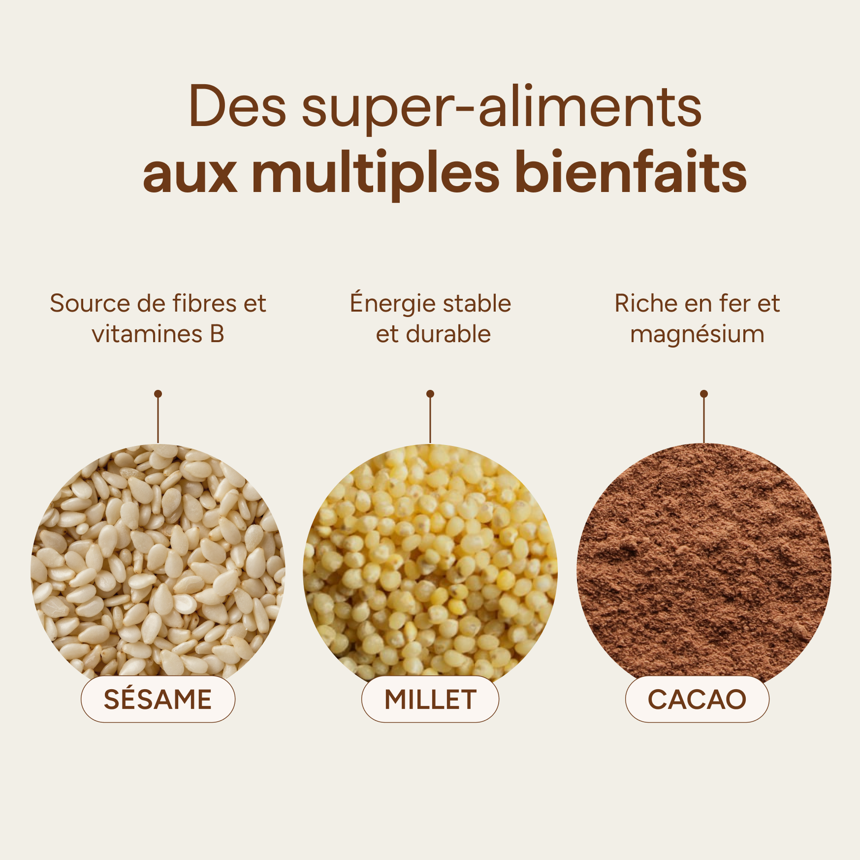 Ingrédients du granola chocolat et leurs qualités : sésame, millet et cacao