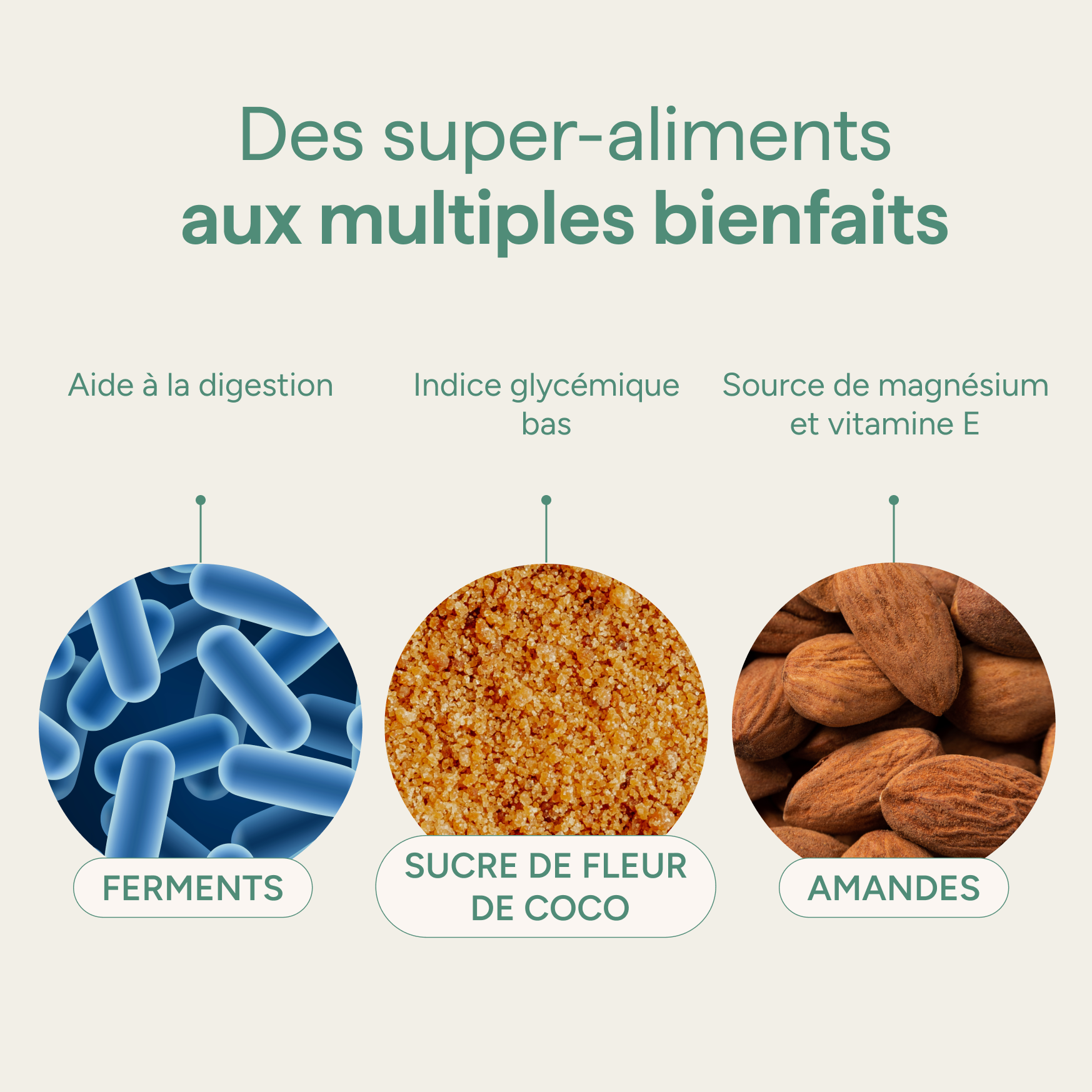 Ingrédients du granola vanille et leurs qualités : ferments, sucre de fleur de coco et amandes