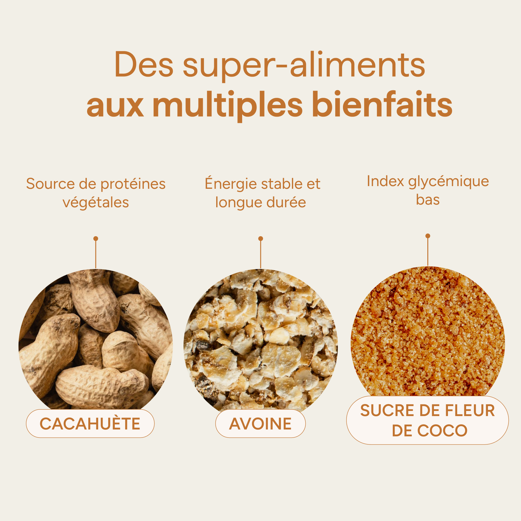 Ingrédients des céréales enfant beurre de cacahuète : cacahuète, avoine, sucre de coco