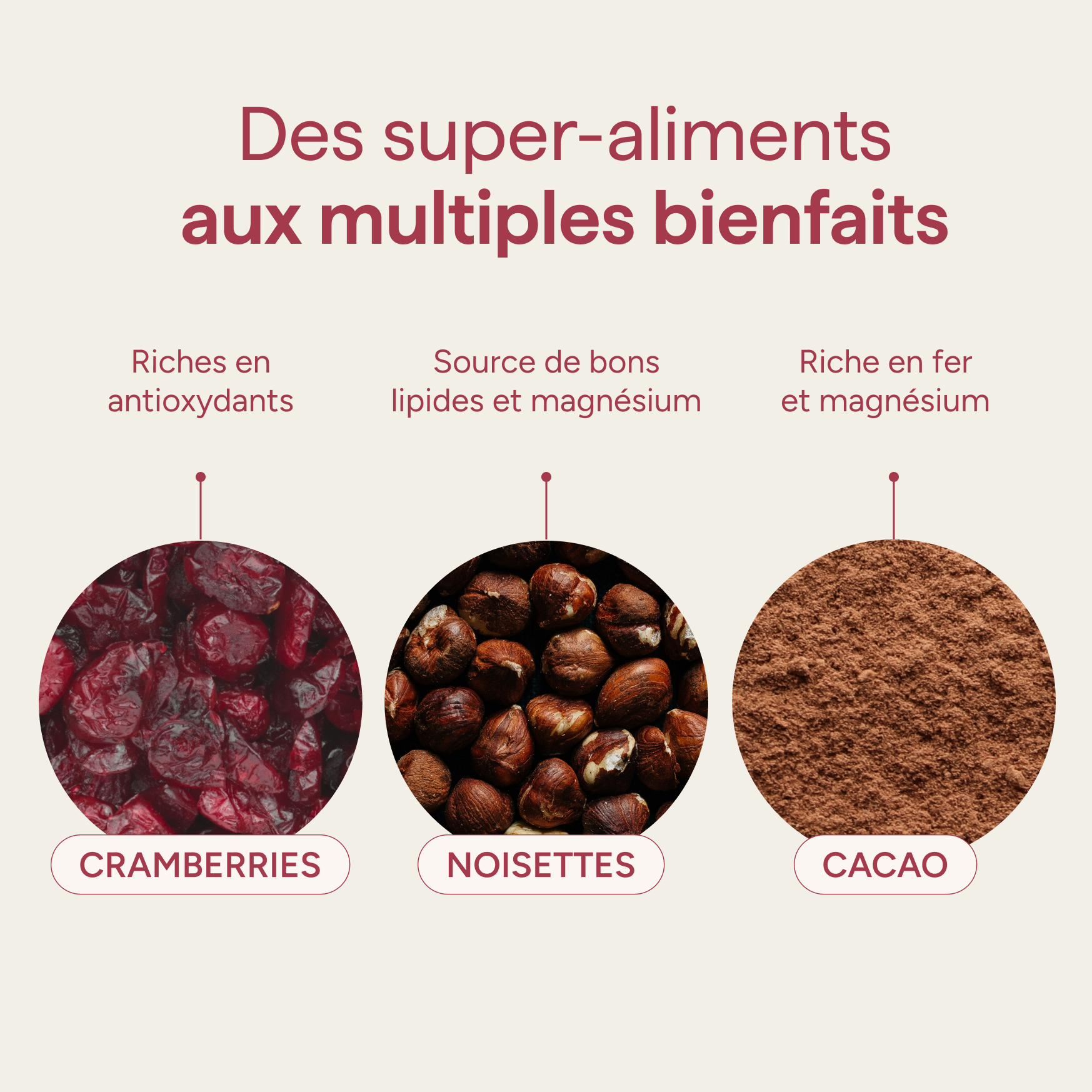 Ingrédients du granola noisette chocolat et leurs qualités : cranberries, noisettes et cacao