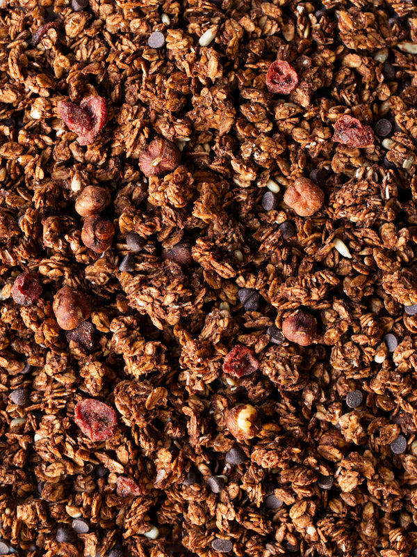 Gros plan sur le granola bio noisette chocolat et cranberries Morning Crush, de nümorning
