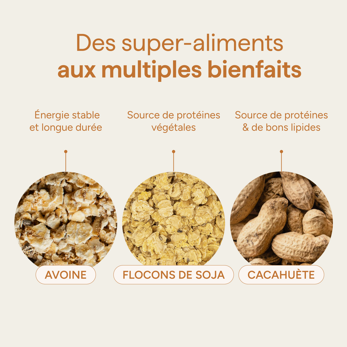 Ingrédients du granola beurre de cacahuète et leurs qualités : flocons d'avoine, flocons de soja et cacahuète