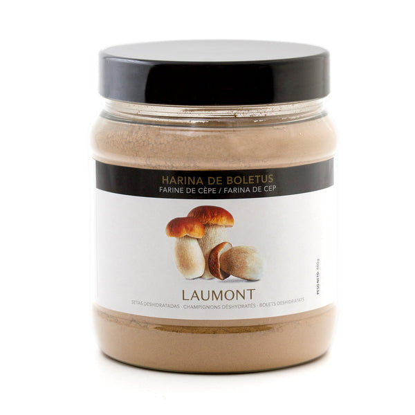 Boletus Flour - Dehydrated