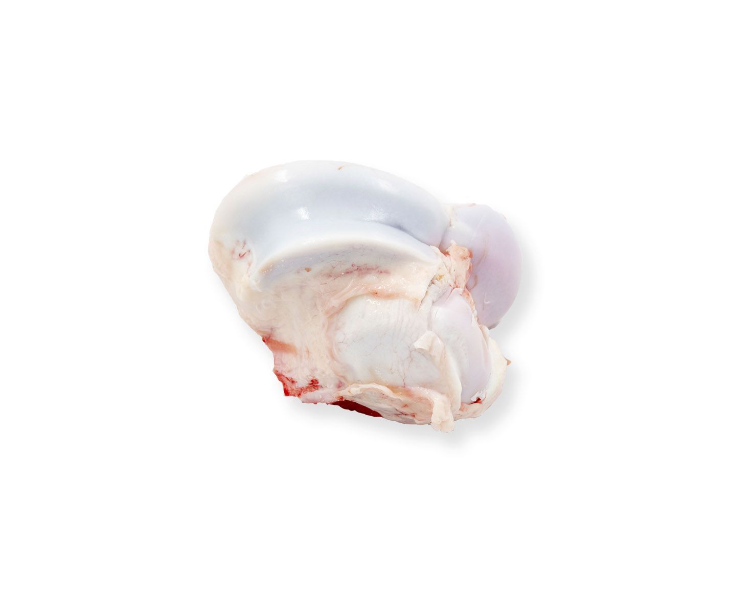 hueso de rodilla de ternera para caldo