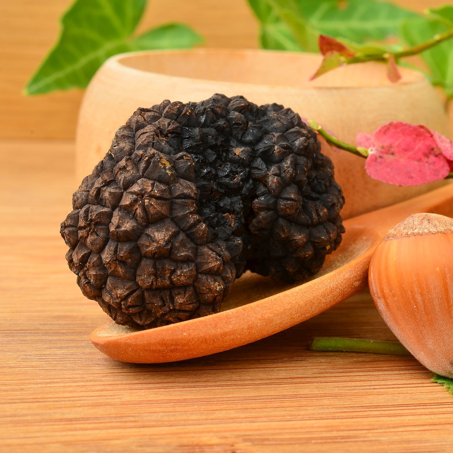 Autumn Truffle (Tuber Uncinatum)