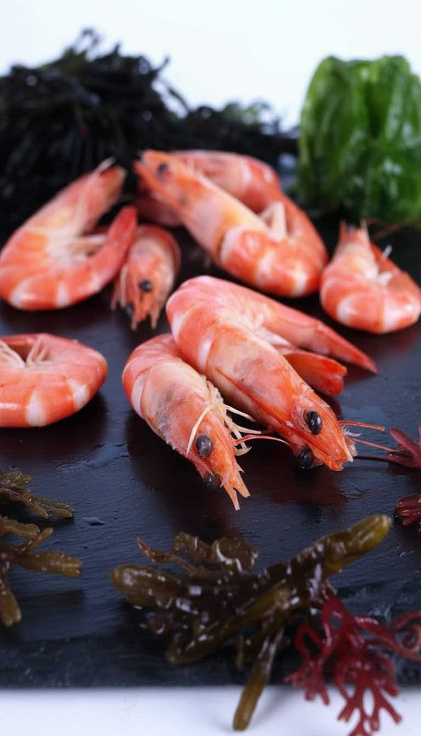 Langostino - Marisco Rías Baixas