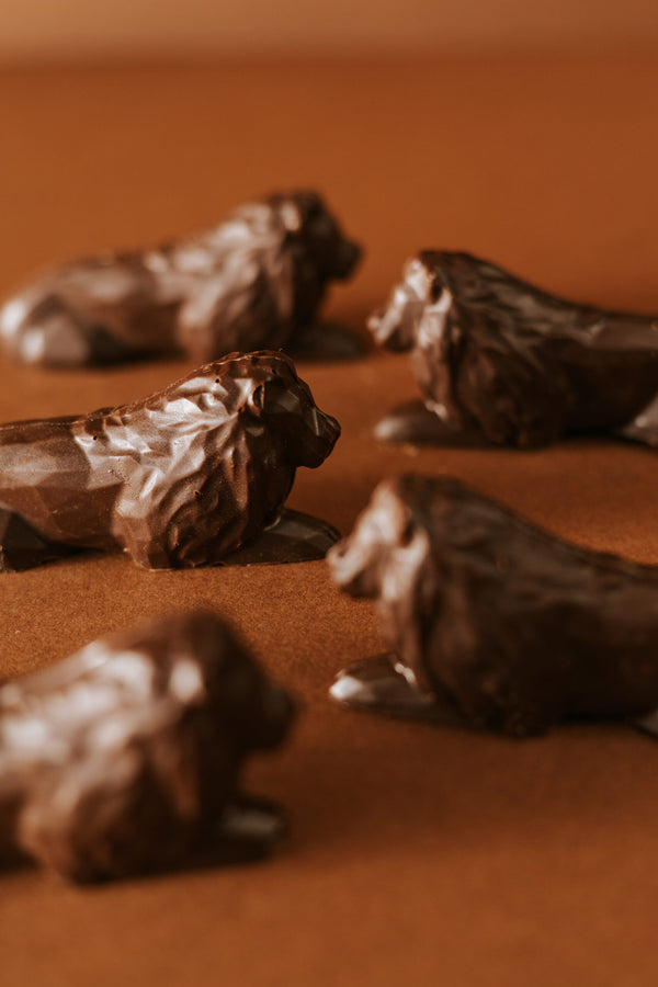 Mini chocolate lion