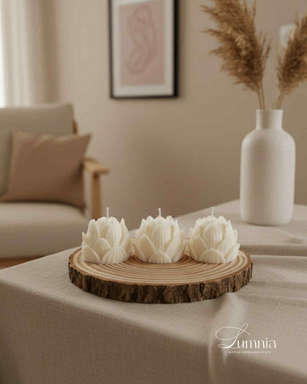Lotus