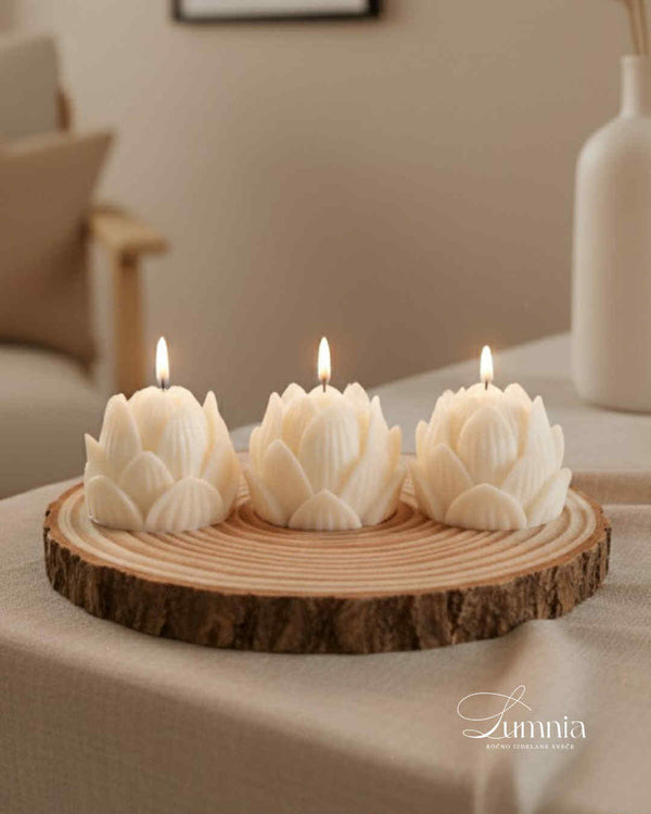 Lotus