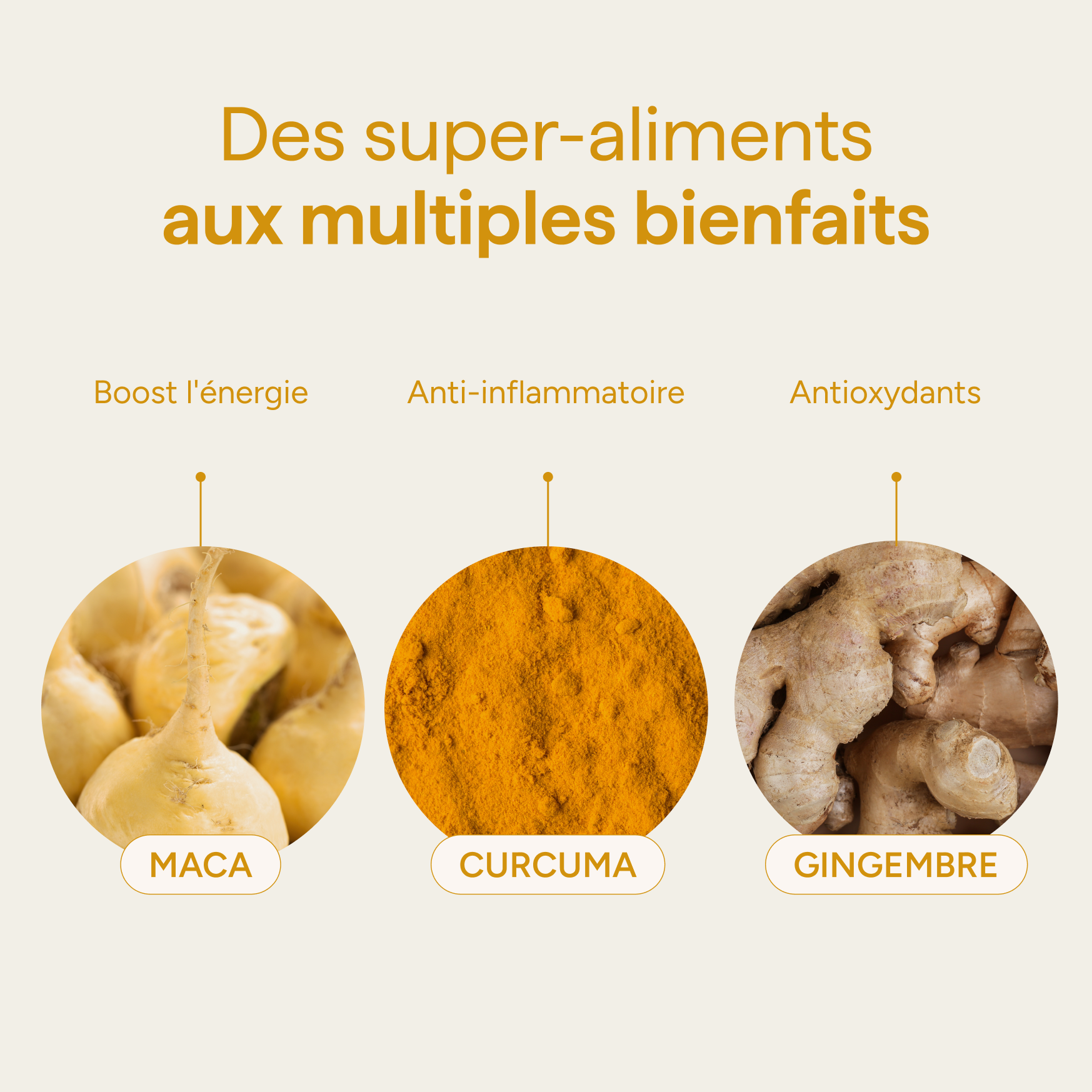 Ingrédients du golden latte et leurs qualités : maca, curcuma et gingembre