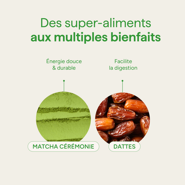Ingrédients du matcha latte et leurs qualités : matcha cérémonie et dattes