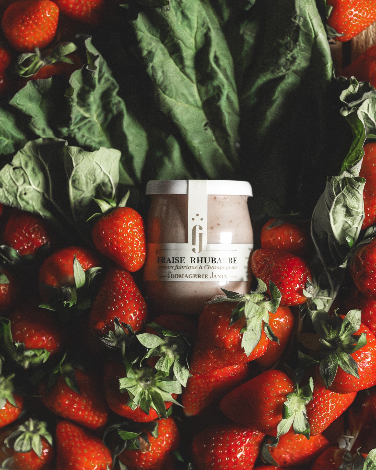 Homemade Whipped Yogurt