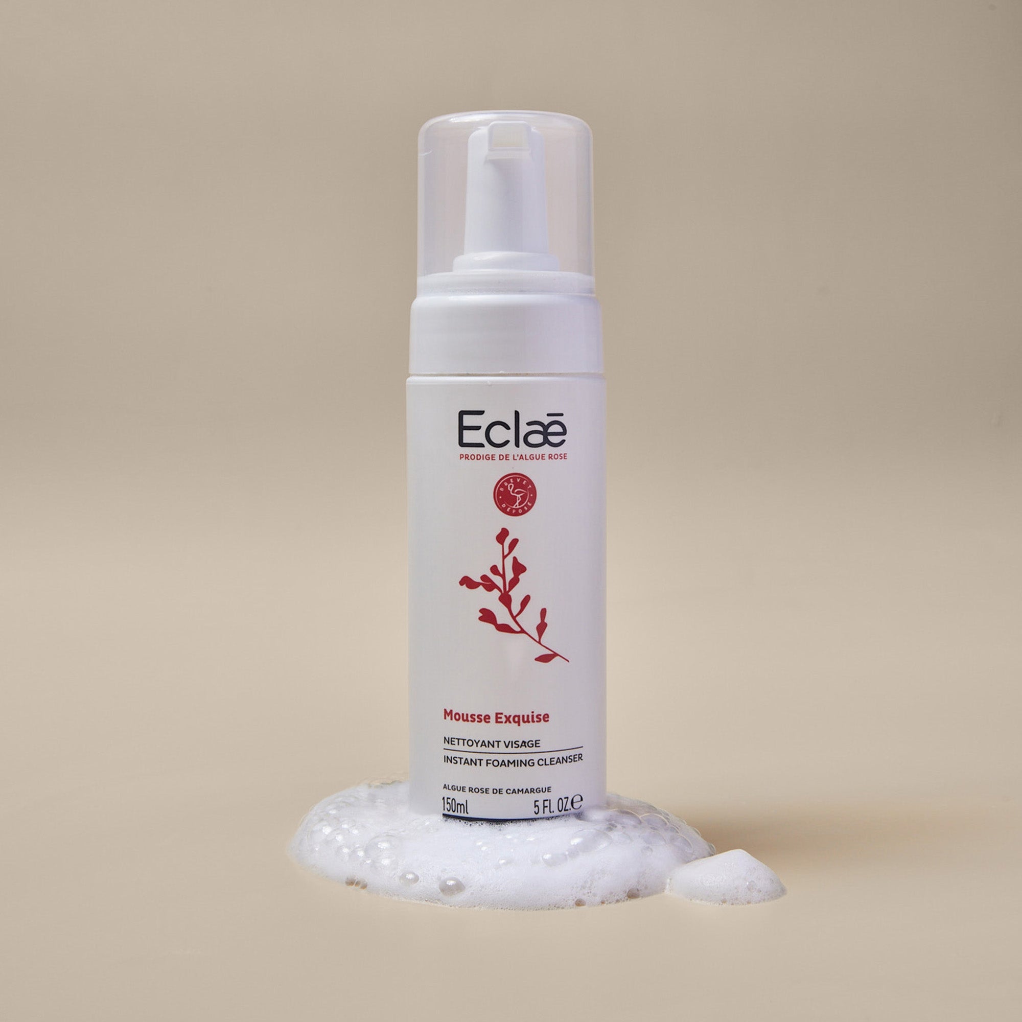 Mousse Exquise - ECLAE