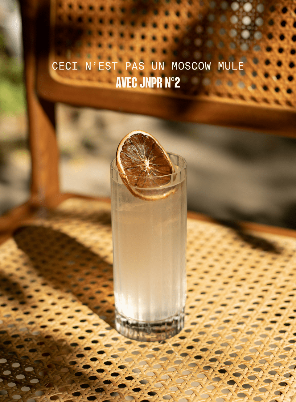JNPR2 Ginger Beer sans sucre
