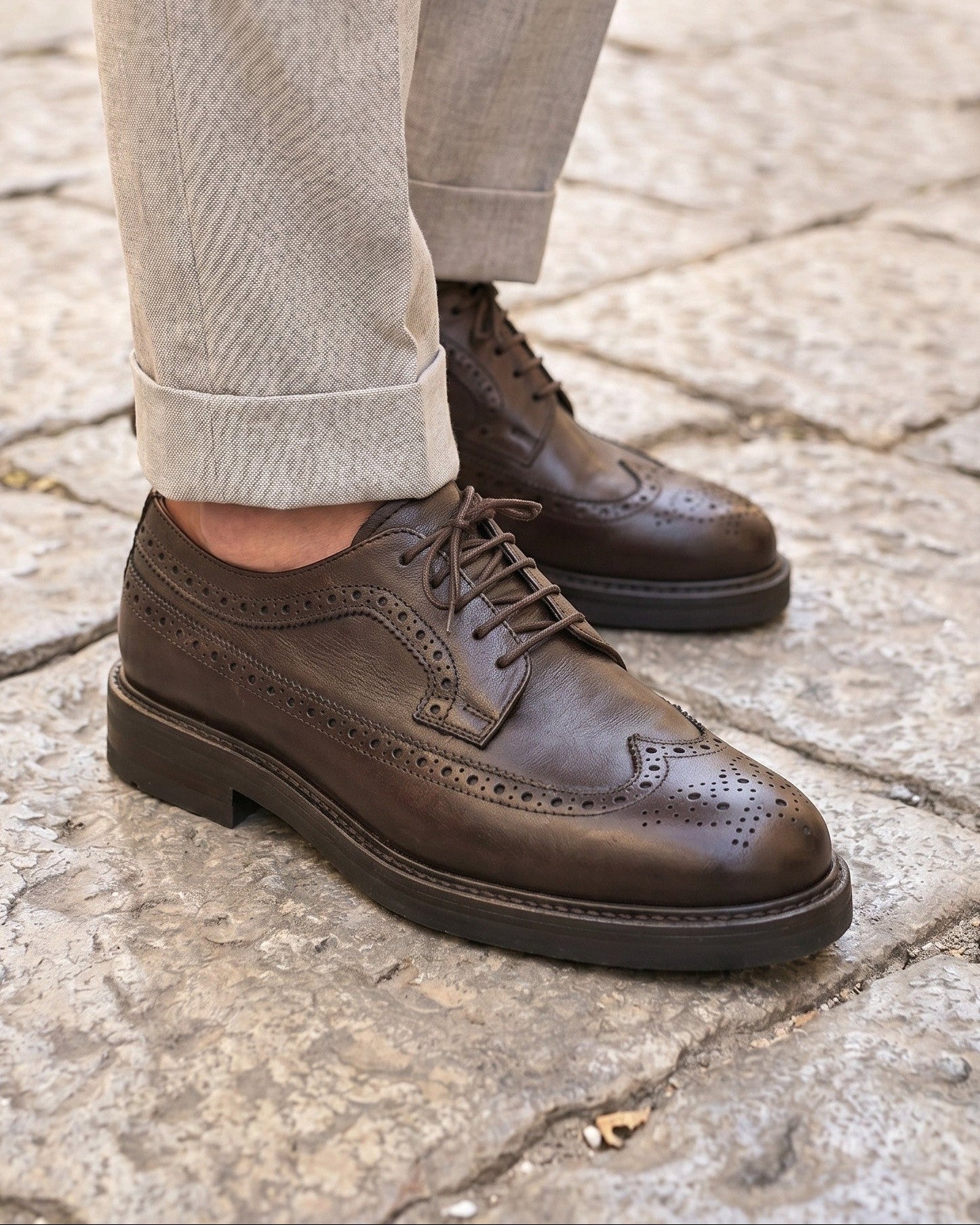 VOLTERRA - Brown