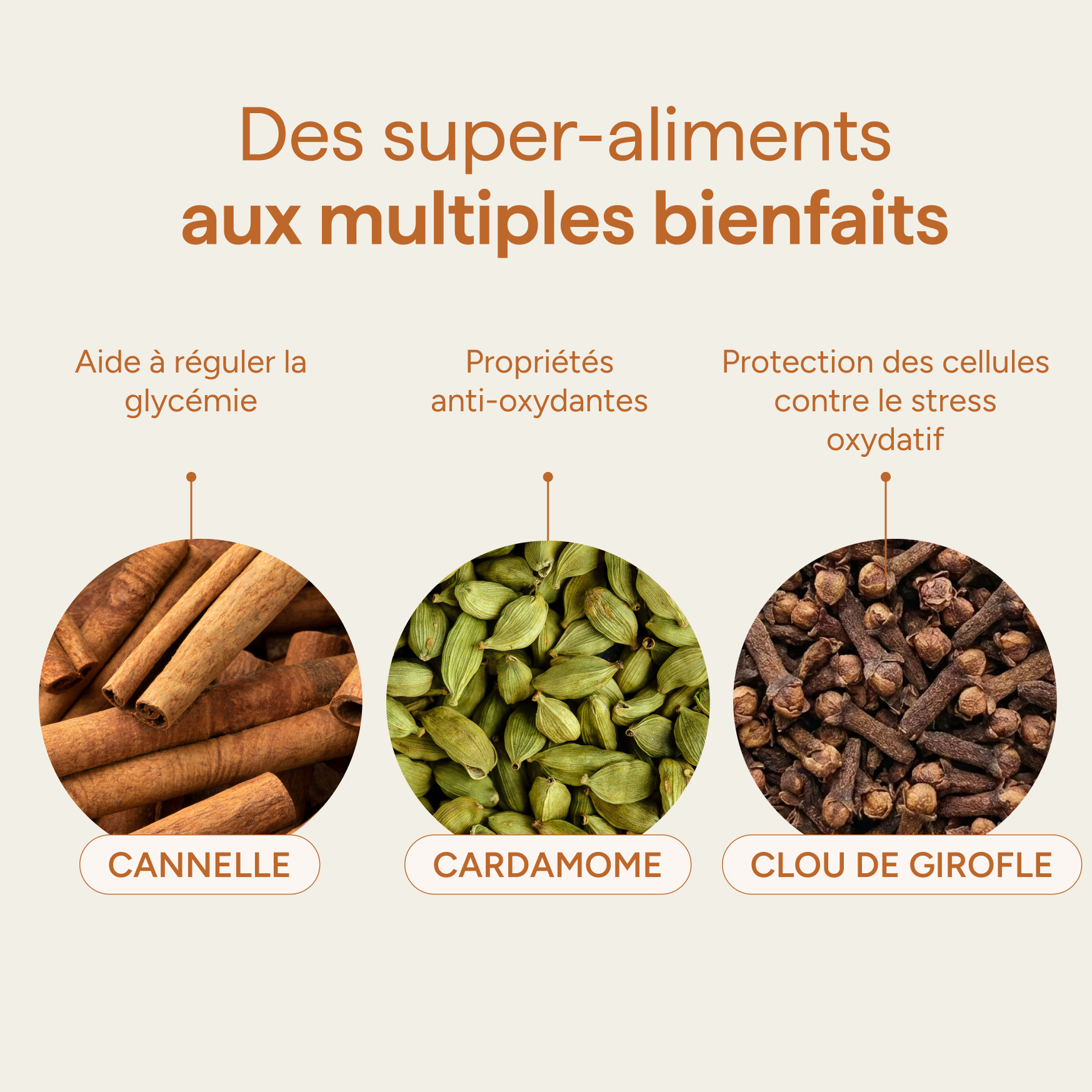 Ingrédients du chaï latte et leurs qualités : cannelle, cardamome et clou de girofle