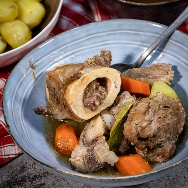 Bone Marrow