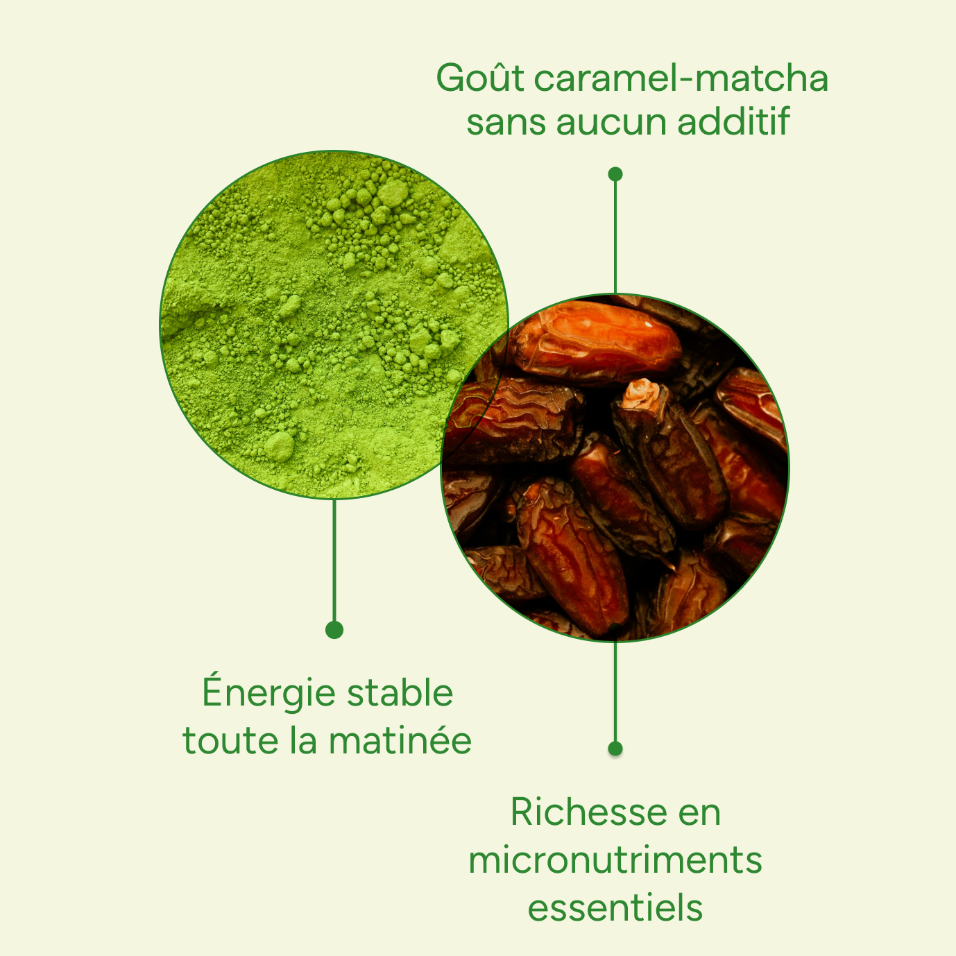 Infographie montrant les bénéfices du matcha latte bio en poudre, qui contient des dattes