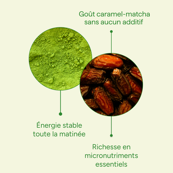 Infographie montrant les bénéfices du matcha latte bio en poudre, qui contient des dattes