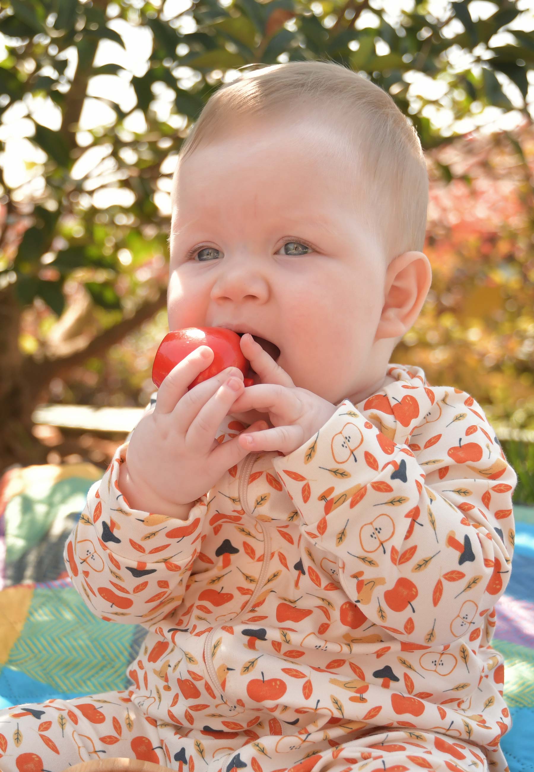 Bamboo Zip Romper - Apples - Blue Balloon