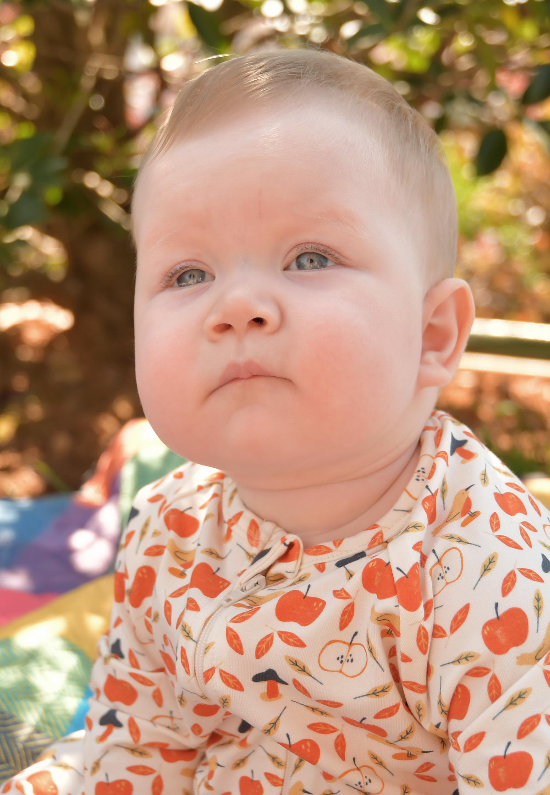 Bamboo Zip Romper - Apples - Blue Balloon