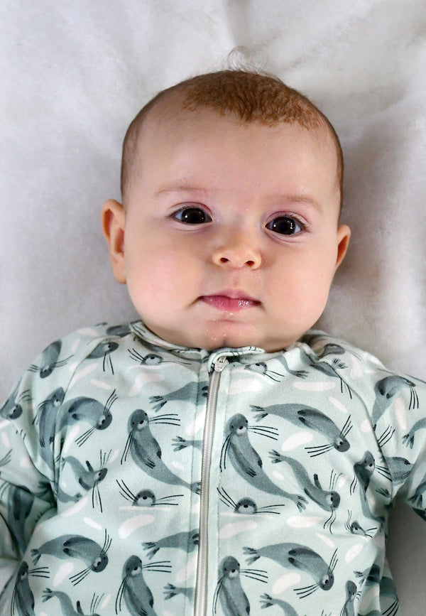 Tutina in Bamboo con Zip - Foche - Palloncino Blu