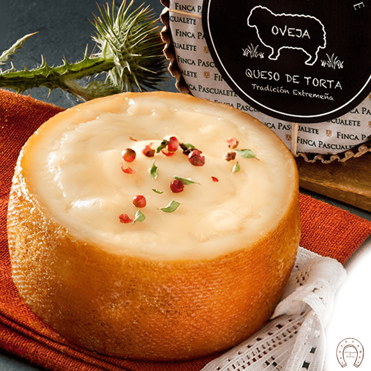 Retorta Finca Pascualete