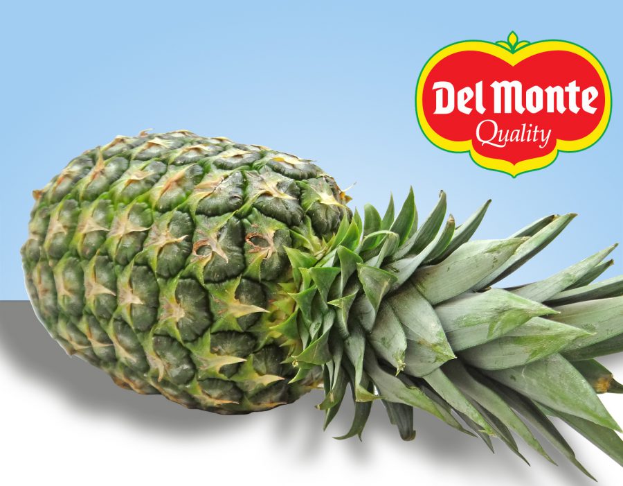 comprar piña por internet