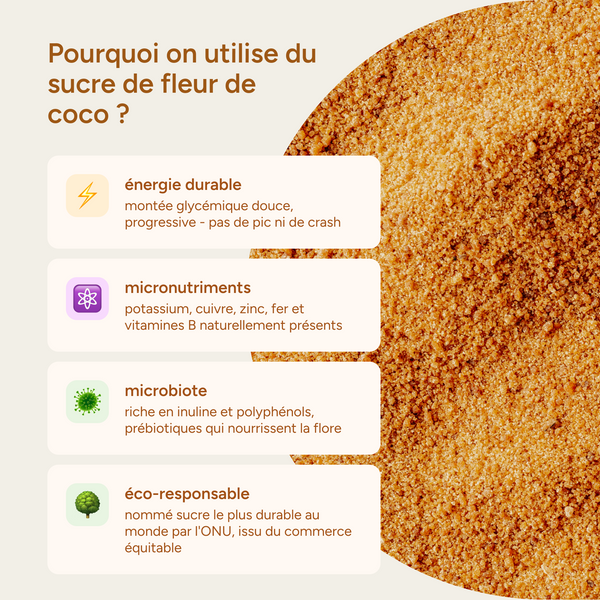 Avantages du sucre de fleur de coco : énergie durable, micronutriments, microbiote, éco-responsable